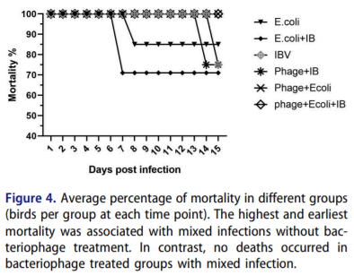 Evaluation of bacteriophage efficacy in reducing the impact of single and mixed infections with Escherichia coli and infectious bronchitis in chickens - Image 4