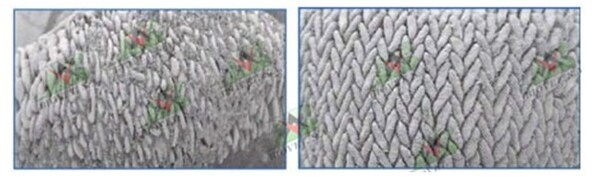 Natural growth promoters: features of choice for poultry and swine - Image 2