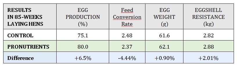 Natural growth promoters: features of choice for poultry and swine - Image 5
