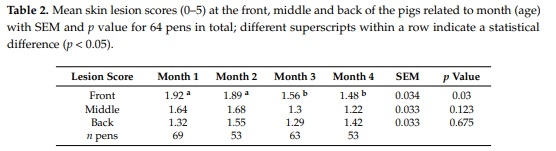 Exploration Feeding and Higher Space Allocation Improve Welfare of Growing-Finishing Pigs - Image 3