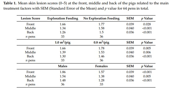 Exploration Feeding and Higher Space Allocation Improve Welfare of Growing-Finishing Pigs - Image 2