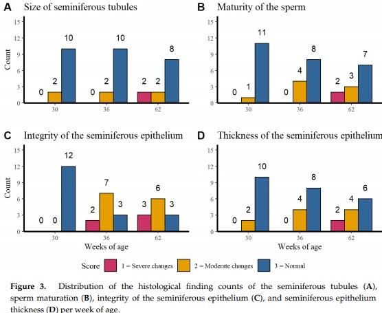 Effect of the Age and Body Weight of the Broiler Breeders Male on the Presentation of Oxidative Stress and Its Correlation with the Quality of Testicular Parenchyma and Physiological Antioxidant Levels - Image 4