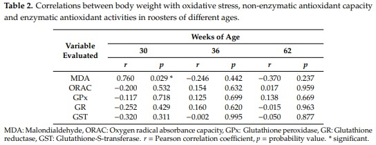 Effect of the Age and Body Weight of the Broiler Breeders Male on the Presentation of Oxidative Stress and Its Correlation with the Quality of Testicular Parenchyma and Physiological Antioxidant Levels - Image 5