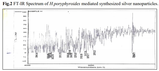 Bio-synthesis of silver nano particles from marine alga Halymenia Poryphyroides and its antibacterial efficacy - Image 3