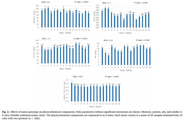 Maize nutrient composition and the influence of xylanase addition - Image 3