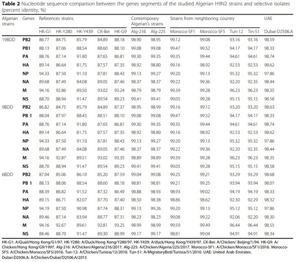 Full-length genome sequences of the first H9N2 avian influenza viruses isolated in the Northeast of Algeria - Image 3