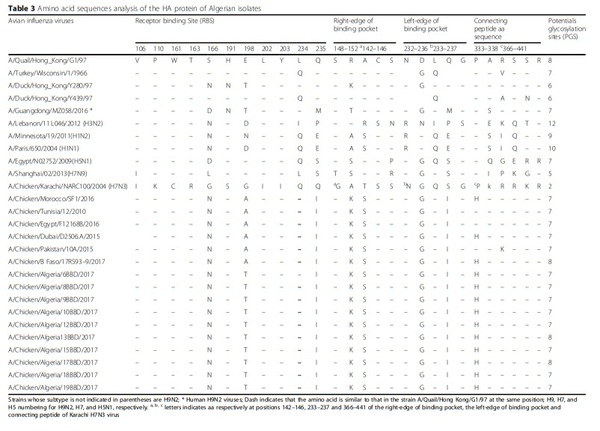 Full-length genome sequences of the first H9N2 avian influenza viruses isolated in the Northeast of Algeria - Image 4