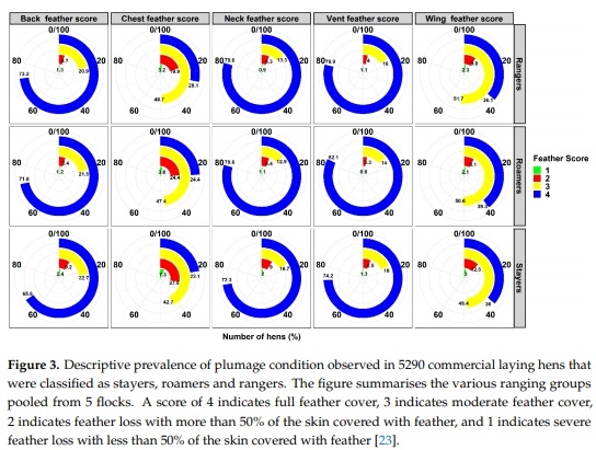 Managing Free-Range Laying Hens—Part B: Early Range Users Have More Pathology Findings at the End of Lay but Have a Significantly Higher Chance of Survival—An Indicative Study - Image 7