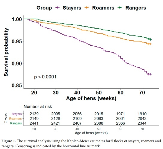 Managing Free-Range Laying Hens—Part B: Early Range Users Have More Pathology Findings at the End of Lay but Have a Significantly Higher Chance of Survival—An Indicative Study - Image 3