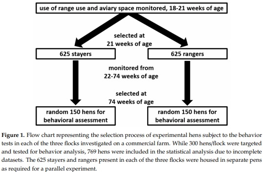 Frequent Visits to an Outdoor Range and Lower Areas of an Aviary System Is Related to Curiosity in Commercial Free-Range Laying Hens - Image 1