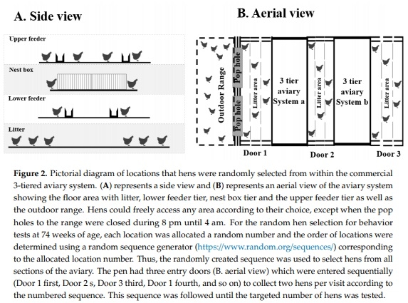 Frequent Visits to an Outdoor Range and Lower Areas of an Aviary System Is Related to Curiosity in Commercial Free-Range Laying Hens - Image 4