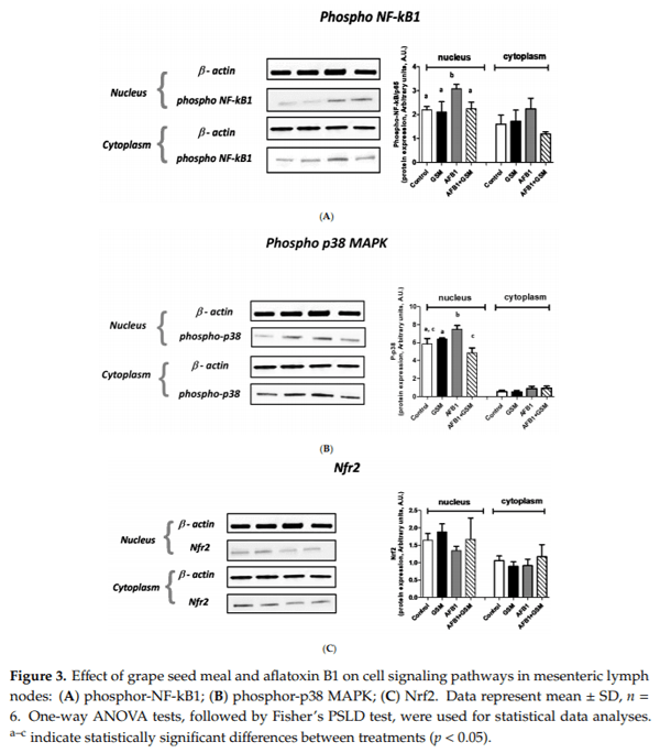 Grape Seed Waste Counteracts Aflatoxin B1 Toxicity in Piglet Mesenteric Lymph Nodes - Image 3