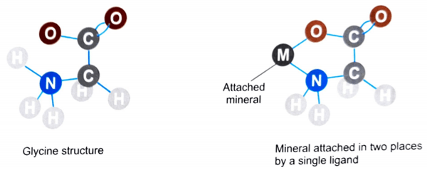 Trace minerals are vital for cattle performance - Image 8
