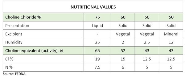 Choline in animal nutrition: Its role, sources and new approaches - Image 1