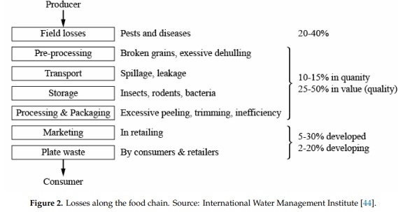 Losses in the Grain Supply Chain: Causes and Solutions - Image 2