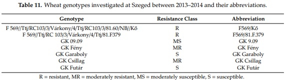 The Influence of the Dilution Rate on the Aggressiveness of Inocula and the Expression of Resistance against Fusarium Head Blight in Wheat - Image 12