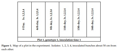 Methodical Considerations and Resistance Evaluation against Fusarium graminearum and F. culmorum Head Blight in Wheat. Part 3. Susceptibility Window and Resistance Expression - Image 2