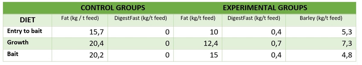 Role of Lipids in animal feed - Image 2