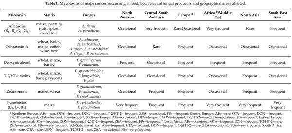 Toxigenic Fungi and Mycotoxins in a Climate Change Scenario: Ecology, Genomics, Distribution, Prediction and Prevention of the Risk - Image 1