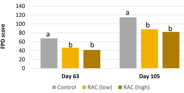 Solutions against foot pad dermatitis in broilers and turkeys - Image 4