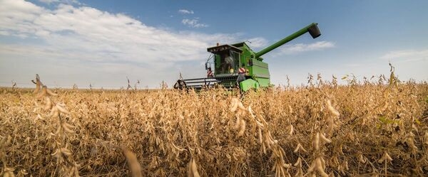 Sustainability: Saving Land. When Less is more - Image 1