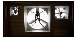 Small Variable Speed Fans Operating Continuously Vs. Larger Fans on Timers - Image 1