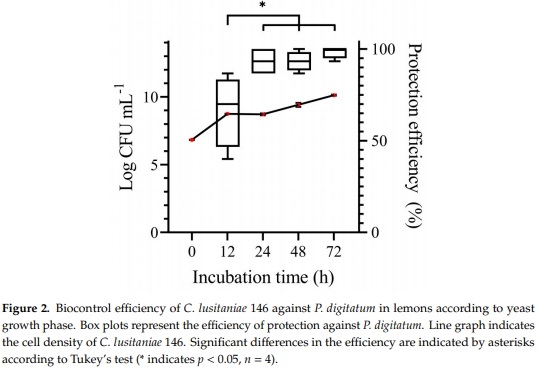 Protection of Citrus Fruits from Postharvest Infection with Penicillium digitatum and Degradation of Patulin by Biocontrol Yeast Clavispora lusitaniae 146 - Image 3