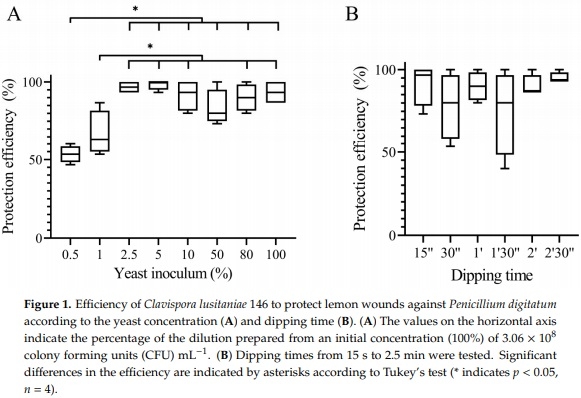 Protection of Citrus Fruits from Postharvest Infection with Penicillium digitatum and Degradation of Patulin by Biocontrol Yeast Clavispora lusitaniae 146 - Image 2