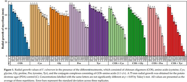 Antifungal Activity of Chitosan Oligomers–Amino Acid Conjugate Complexes against Fusarium culmorum in Spelt (Triticum spelta L.) - Image 2