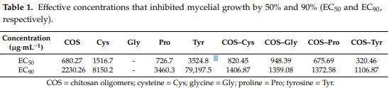 Antifungal Activity of Chitosan Oligomers–Amino Acid Conjugate Complexes against Fusarium culmorum in Spelt (Triticum spelta L.) - Image 4