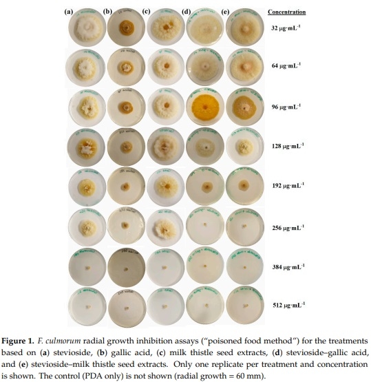 Antifungal Activity against Fusarium culmorum of Stevioside, Silybum marianum Seed Extracts, and Their Conjugate Complexes - Image 1