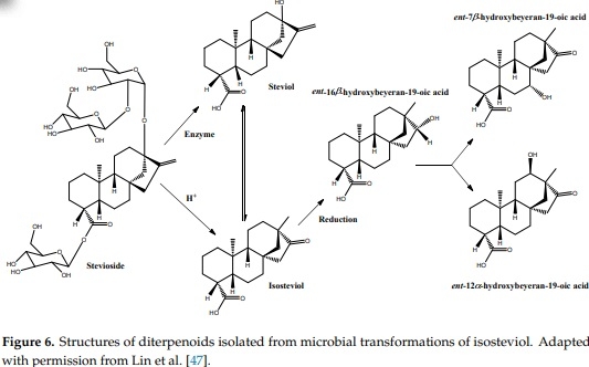 Antifungal Activity against Fusarium culmorum of Stevioside, Silybum marianum Seed Extracts, and Their Conjugate Complexes - Image 7