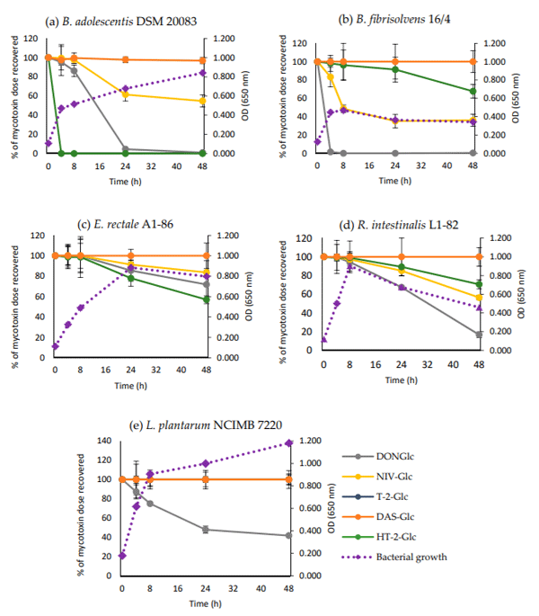 Figure 3. Time-course of hydrolysis of masked trichothecenes (solid lines) by (a) B. adolescentis DSM 20083, (b) B. fibrisolvens 16/4, (c) E. rectale A1-86, (d) R. intestinalis L1-82, (e) L. plantarum NCIMB 7220, and their growth (dashed lines) (a–e). Results are presented as percentage of the mycotoxin dose recovered and the average of triplicates ± SD (solid lines). T-2-Glc was only included for L. plantarum NCIMB 7220 (d). The SD for bacterial growth ranged between 0.01 and 0.05 per strain (dashed lines).