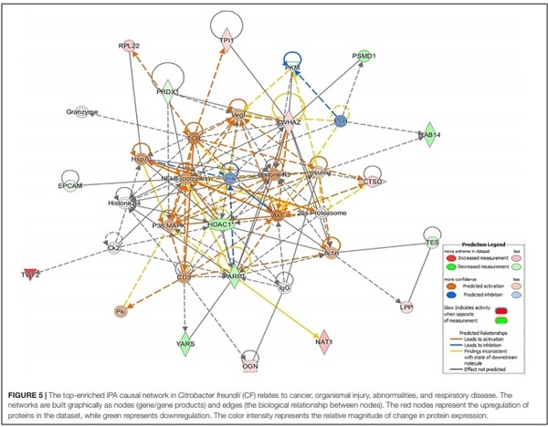 A Proteomic View of the Cross-Talk Between Early Intestinal Microbiota and Poultry Immune System - Image 1
