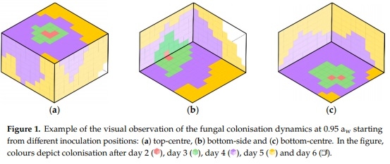Three-Dimensional Study of F. graminearum Colonisation of Stored Wheat: Post-Harvest Growth Patterns, Dry Matter Losses and Mycotoxin Contamination - Image 3