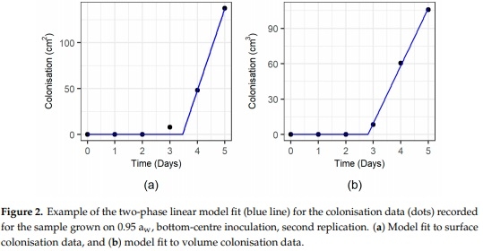 Three-Dimensional Study of F. graminearum Colonisation of Stored Wheat: Post-Harvest Growth Patterns, Dry Matter Losses and Mycotoxin Contamination - Image 4