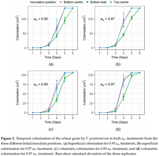 Three-Dimensional Study of F. graminearum Colonisation of Stored Wheat: Post-Harvest Growth Patterns, Dry Matter Losses and Mycotoxin Contamination - Image 6