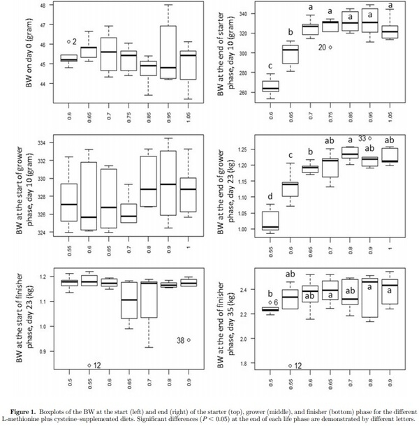 Optimal methionine plus cystine requirements in diets supplemented with L-methionine in starter, grower, and finisher broilers - Image 4