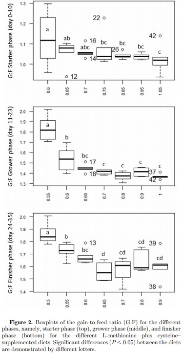 Optimal methionine plus cystine requirements in diets supplemented with L-methionine in starter, grower, and finisher broilers - Image 5