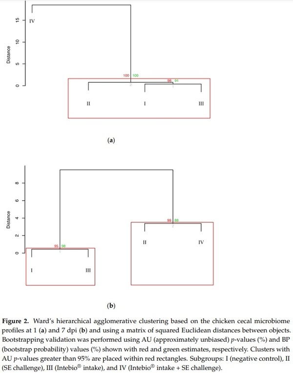Effects of Essential Oils-Based Supplement and Salmonella Infection on Gene Expression, Blood Parameters, Cecal Microbiome, and Egg Production in Laying Hens - Image 4