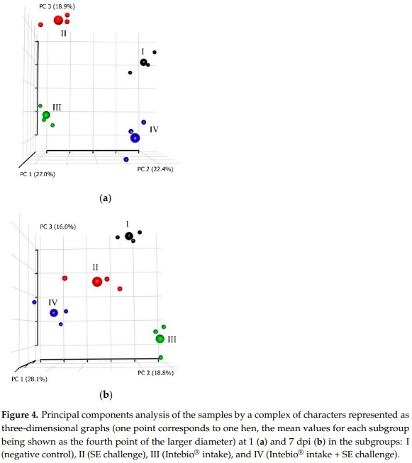 Effects of Essential Oils-Based Supplement and Salmonella Infection on Gene Expression, Blood Parameters, Cecal Microbiome, and Egg Production in Laying Hens - Image 7