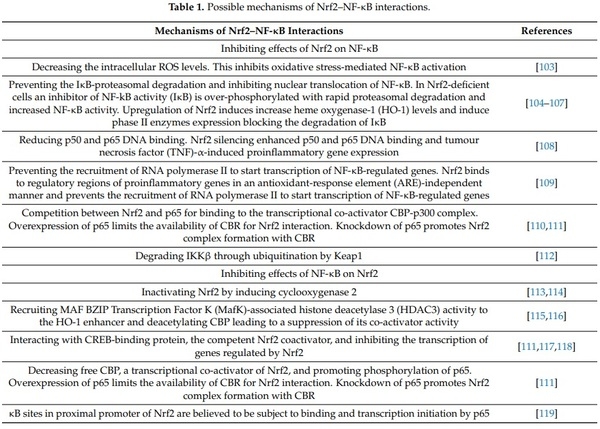 Redox Homeostasis in Poultry: Regulatory Roles of NF-kB - Image 4