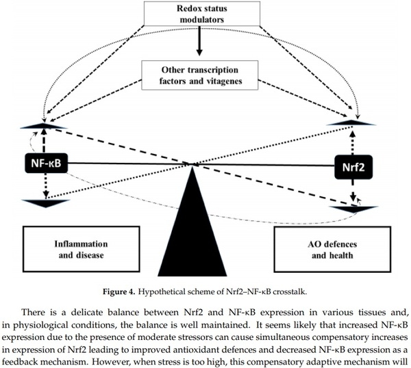 Antioxidant Defence Systems and Oxidative Stress in Poultry Biology: An Update - Image 7