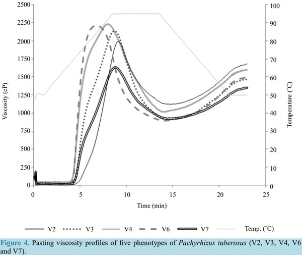 Extraction and Characterization of Starch Fractions of Five Phenotypes Pachyrhizus tuberosus (Lam.) Spreng - Image 9
