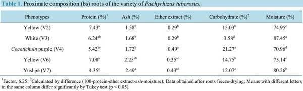 Extraction and Characterization of Starch Fractions of Five Phenotypes Pachyrhizus tuberosus (Lam.) Spreng - Image 4