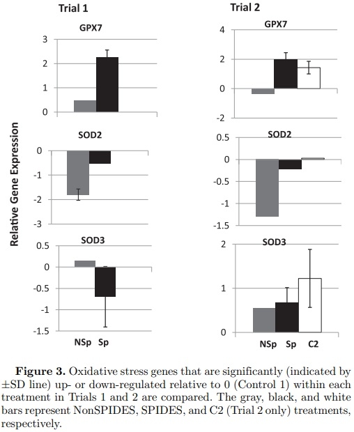 Impact of broiler egg storage on the relative expression of selected blastoderm genes associated with apoptosis, oxidative stress, and fatty acid metabolism - Image 7