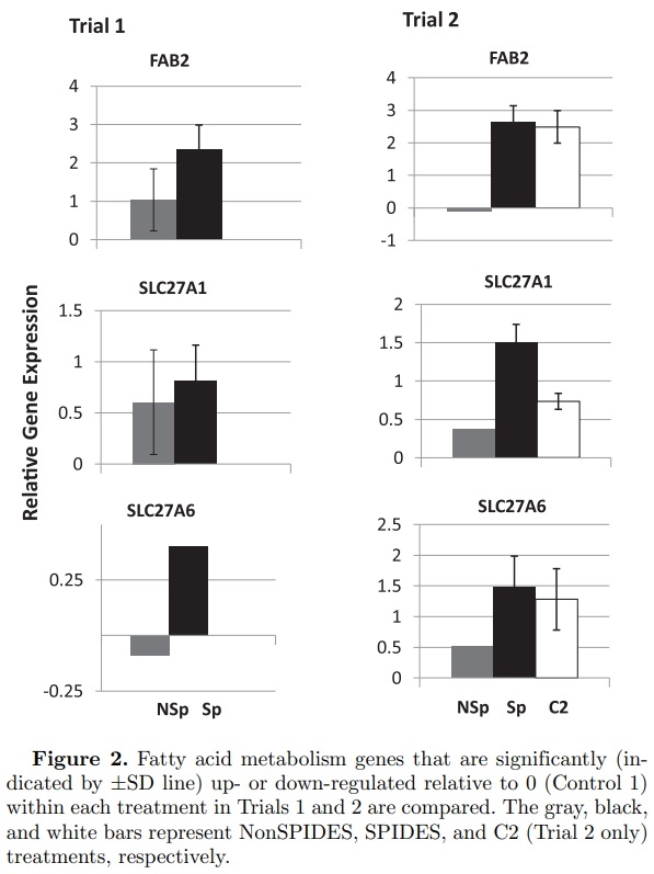 Impact of broiler egg storage on the relative expression of selected blastoderm genes associated with apoptosis, oxidative stress, and fatty acid metabolism - Image 6
