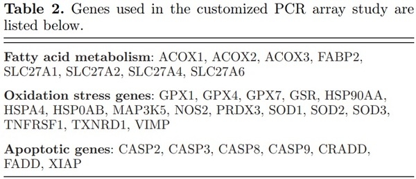 Impact of broiler egg storage on the relative expression of selected blastoderm genes associated with apoptosis, oxidative stress, and fatty acid metabolism - Image 2