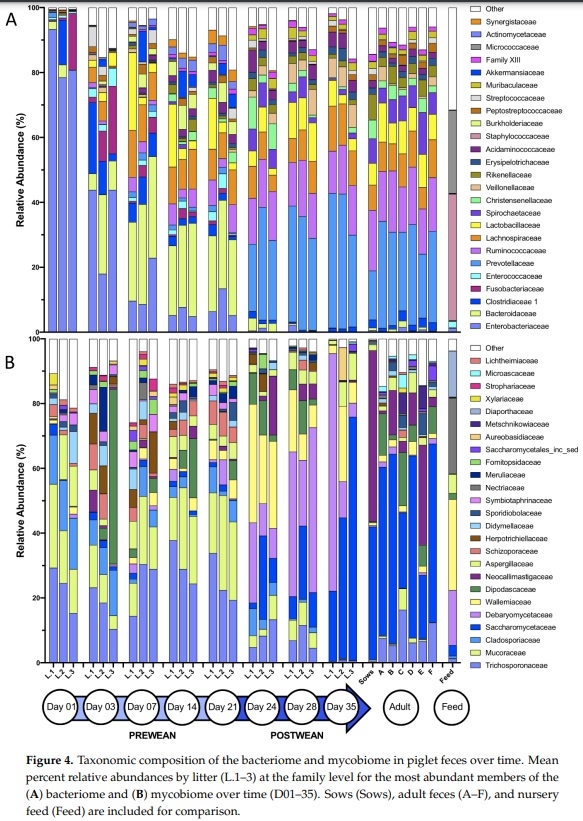 Temporal Dynamics of the Gut Bacteriome and Mycobiome in the Weanling Pig - Image 4