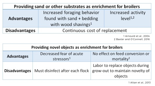 Effective enrichment strategies for broilers - Image 5